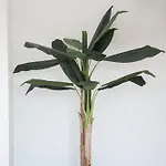 Ermal Terrace Vieira do Minho