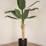 Casa de Férias Ermal Terrace Vieira do Minho