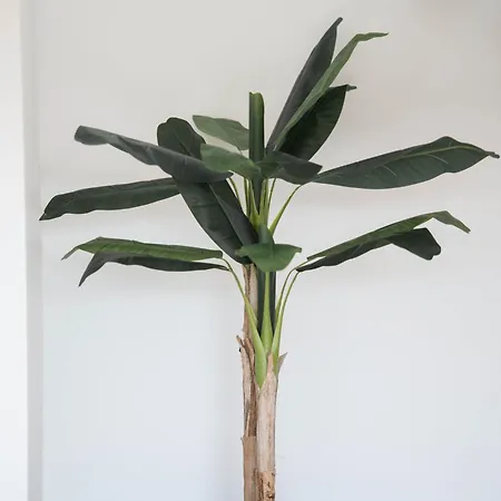 Ermal Terrace Vieira do Minho