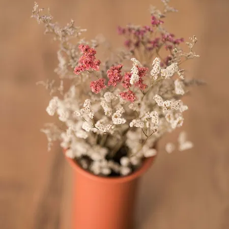 Ermal Terrace Vieira do Minho