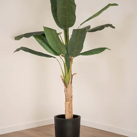 Σπίτι διακοπών Ermal Terrace Vieira do Minho