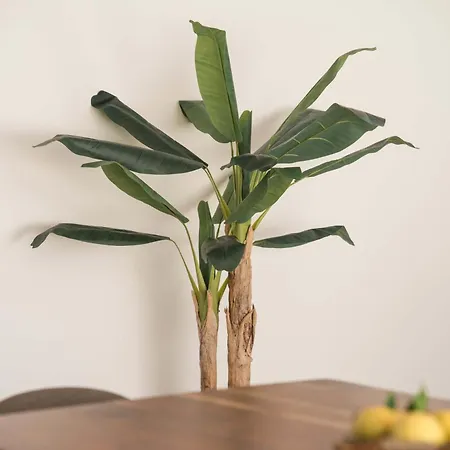 Ermal Terrace Nyaraló Vieira do Minho