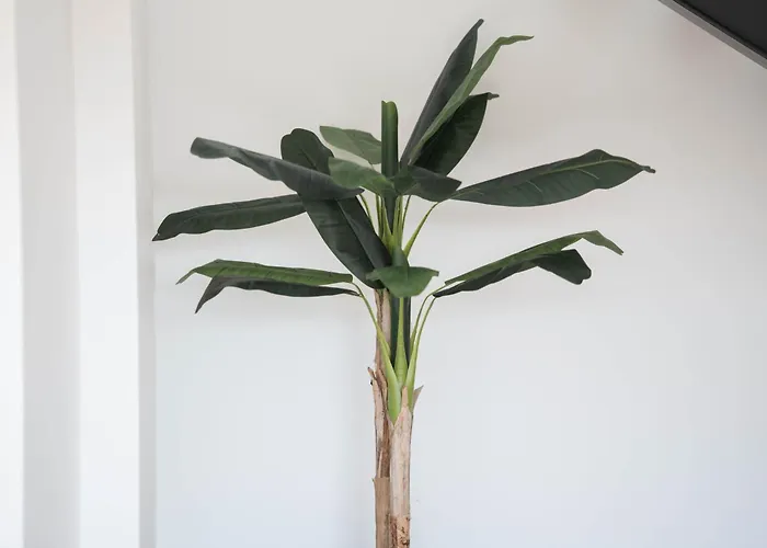 Ermal Terrace Vieira do Minho