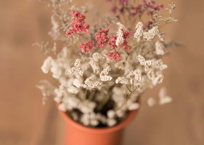 Ermal Terrace Vieira do Minho