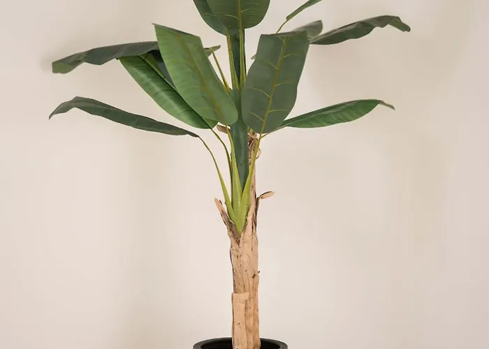 Casa de Férias Ermal Terrace Vieira do Minho