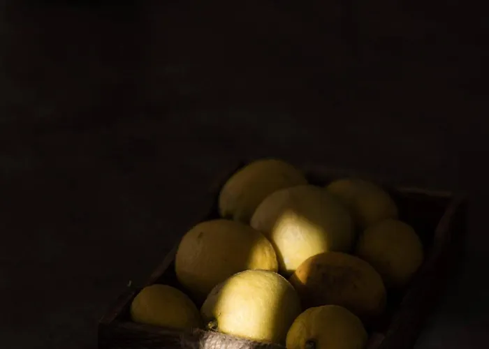 Prázdninový dům Ermal Terrace *