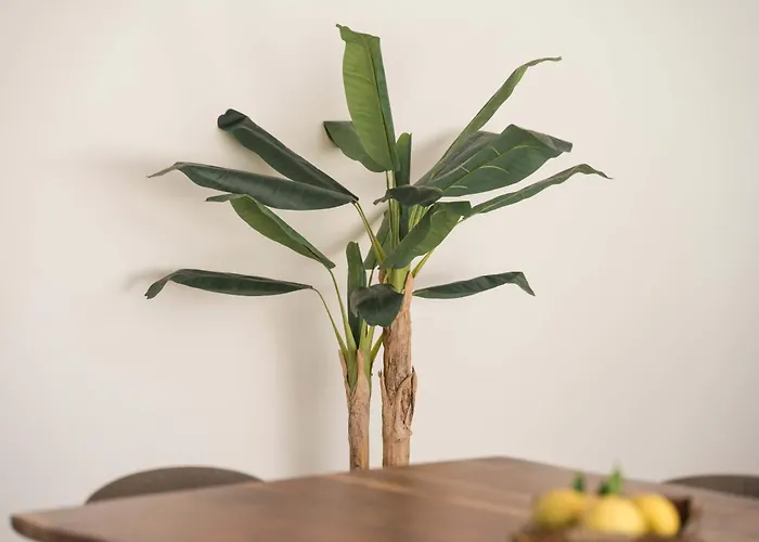 Ermal Terrace Prázdninový dům Vieira do Minho